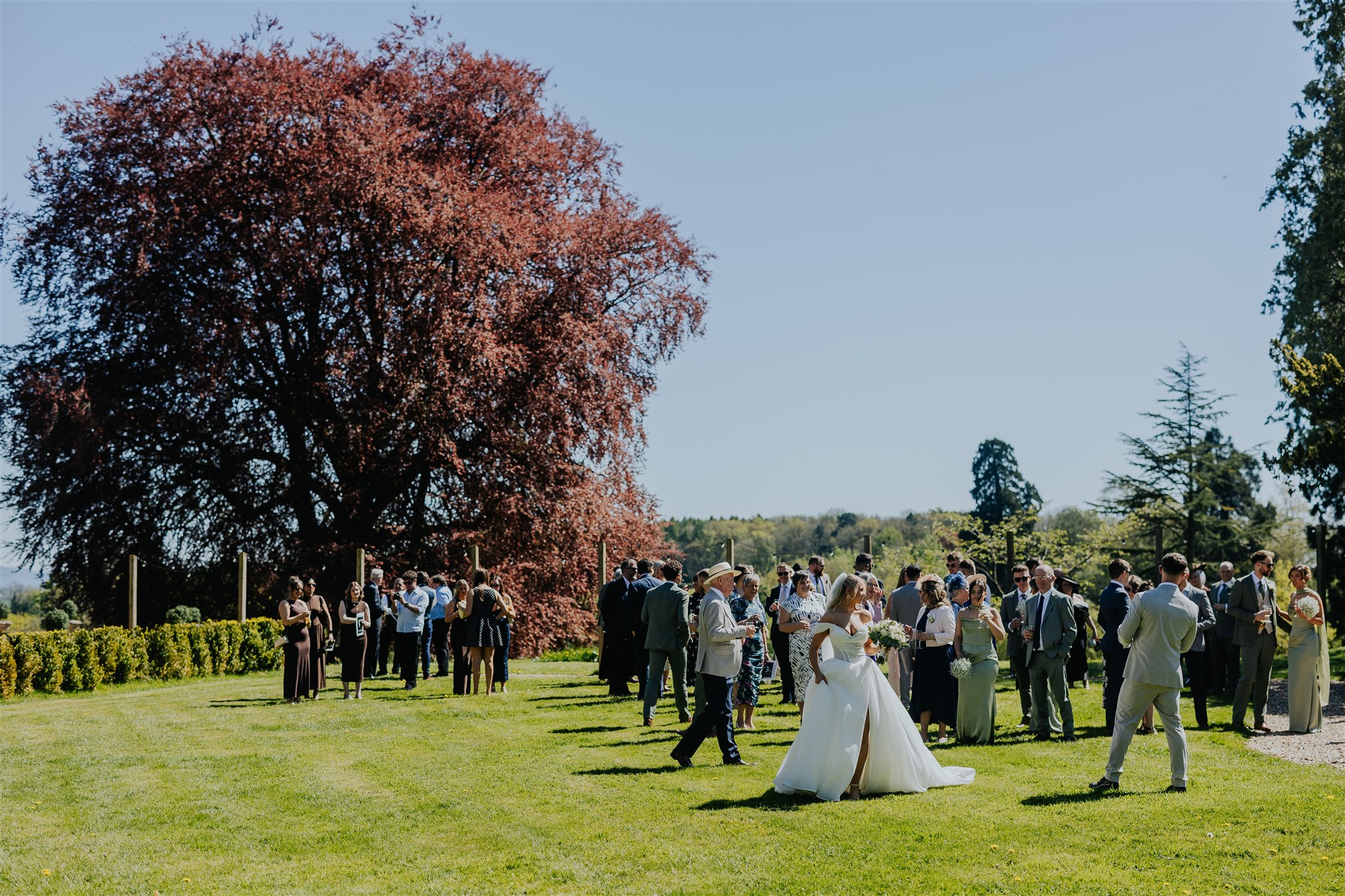 The grounds view 20
